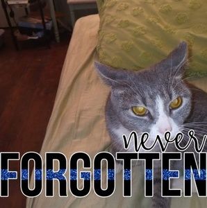 Meet your Posher, Beverly